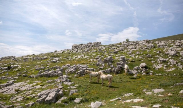 Το δίκτυο των «Απάτητων βουνών»